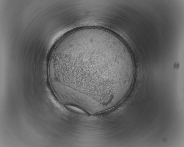 X0000110701030200907021953