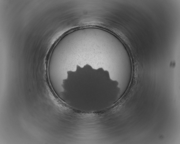 X0000110701031200907021953