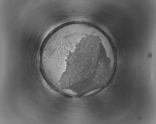 X0000110701032200907021953