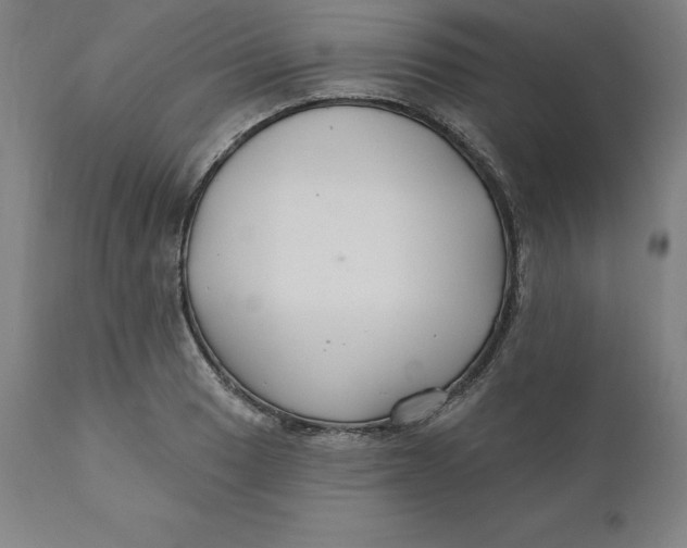 X0000110701033200907021953