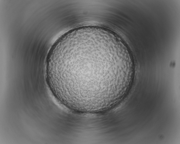 X0000110701034200907021953