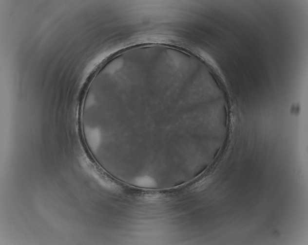 X0000110701035200907021953