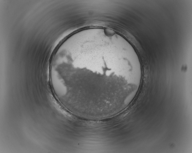 X0000110701036200907021953