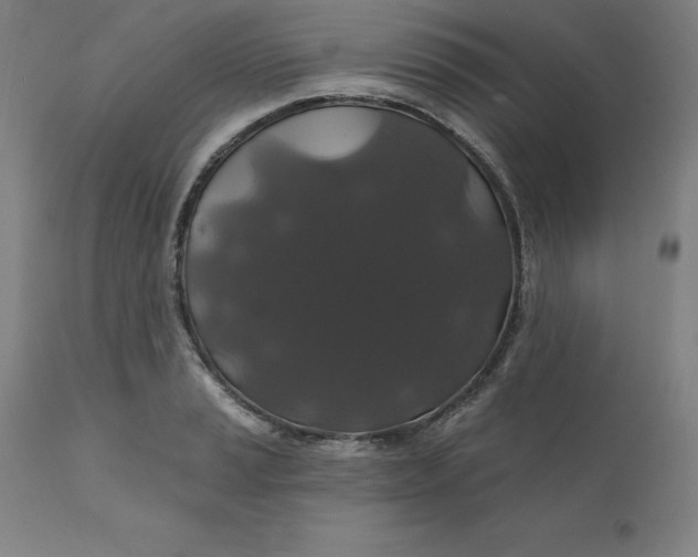 X0000110701037200907021953