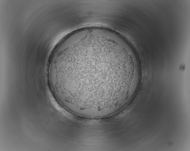 X0000110701038200907021953