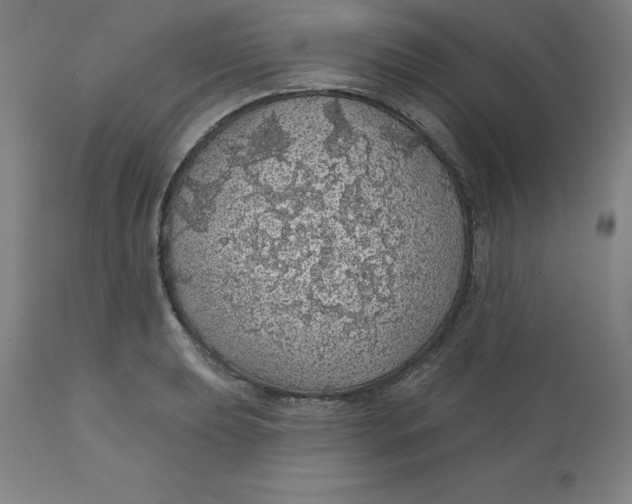 X0000110701039200907021953