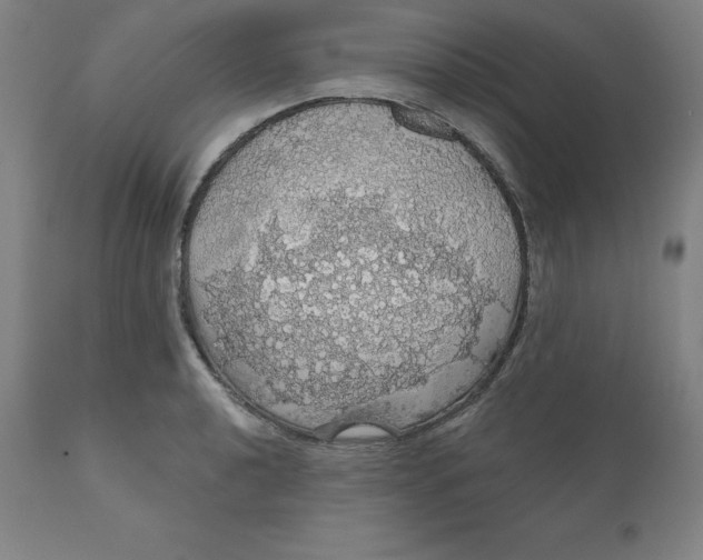 X0000110701040200907021953