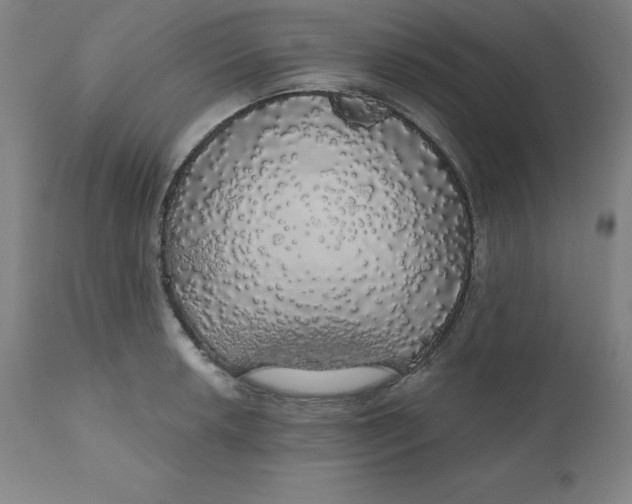 X0000110701042200907021953