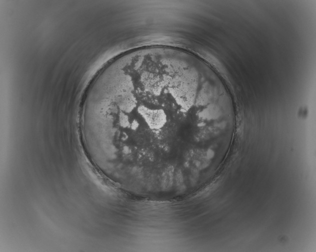 X0000110701043200907021953