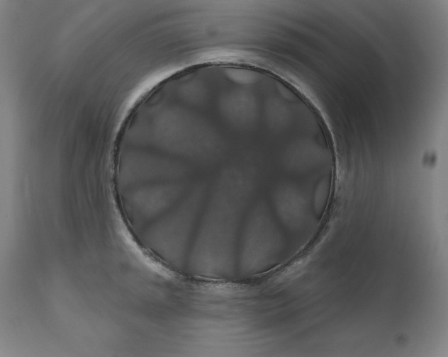 X0000110701045200907021953