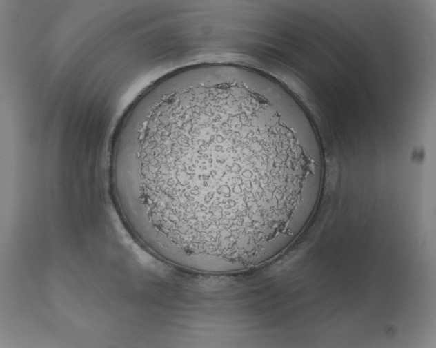 X0000110701046200907021953