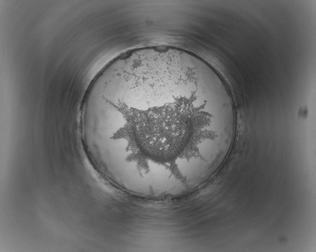 X0000110701047200907021953