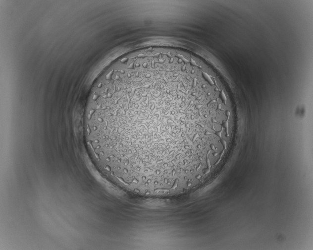 X0000110701049200907021953