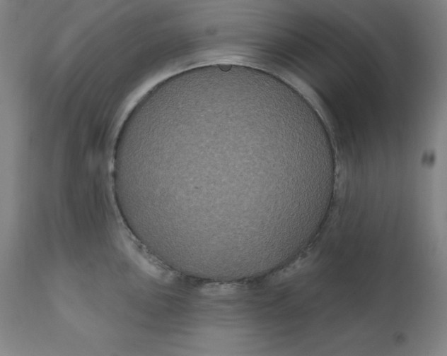 X0000110701051200907021953