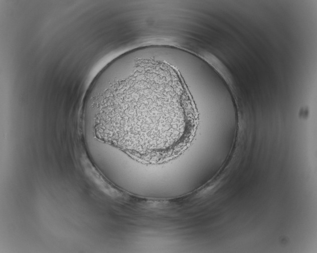 X0000110701052200907021953