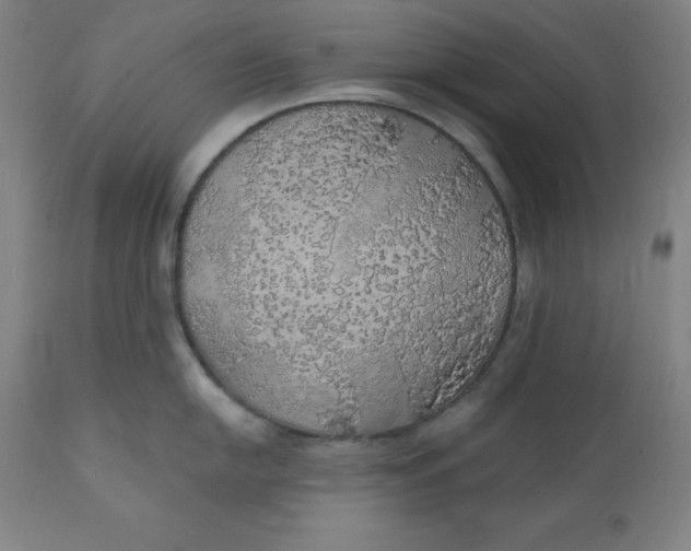 X0000110701054200907021953