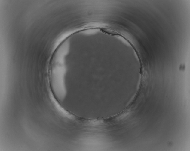 X0000110701055200907021953