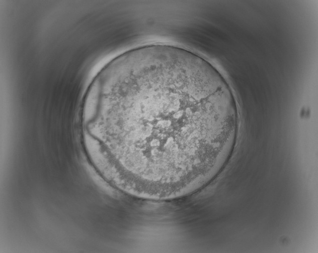 X0000110701056200907021953