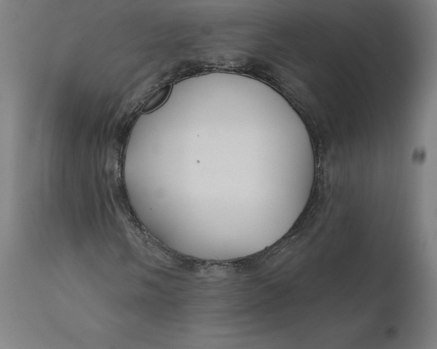 X0000110701058200907021952