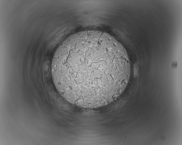 X0000110701059200907021952