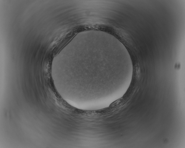 X0000110701060200907021952