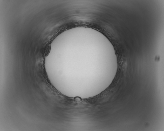 X0000110701061200907021952