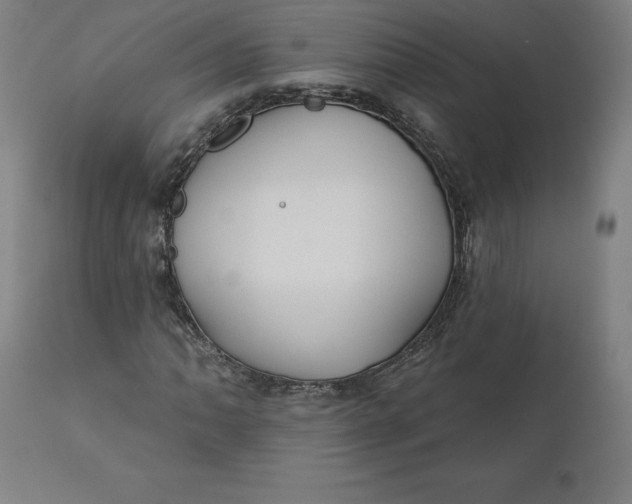 X0000110701062200907021952