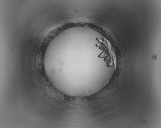 X0000110701063200907021952