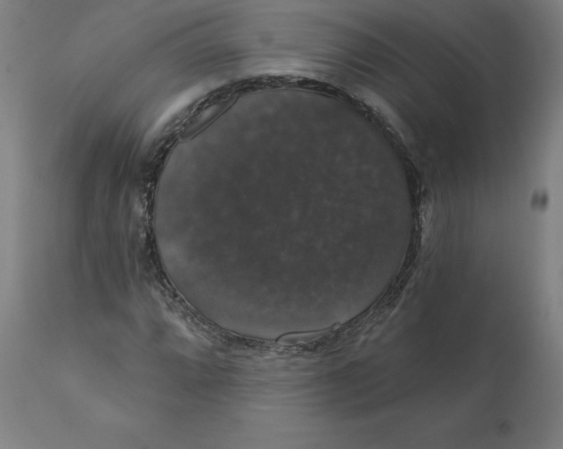 X0000110701064200907021952