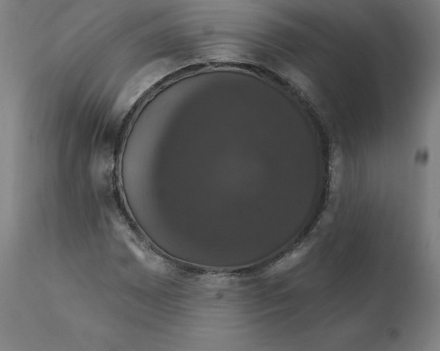 X0000110701065200907021952