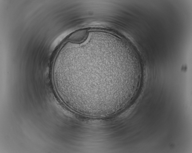 X0000110701066200907021952