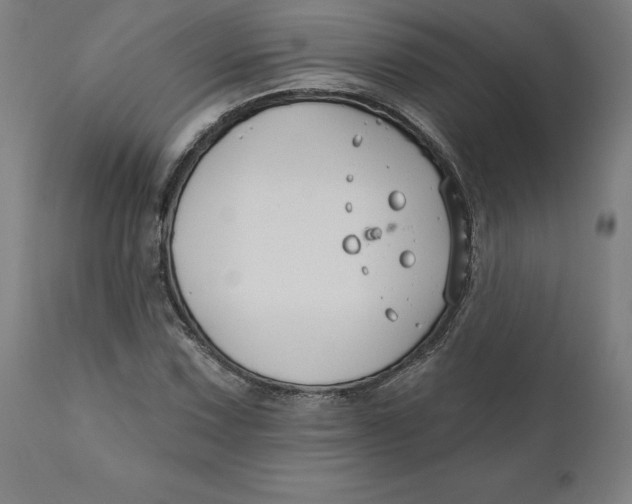 X0000110701067200907021952