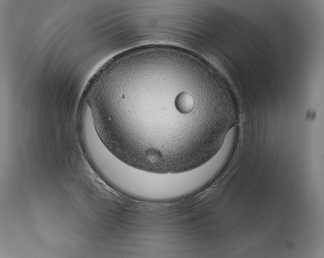 X0000110701068200907021952