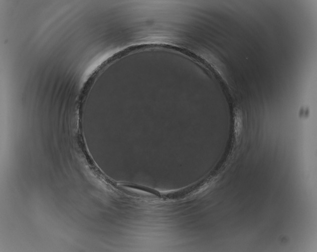 X0000110701069200907021952