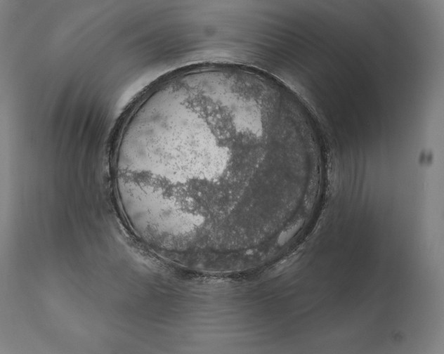 X0000110701070200907021952