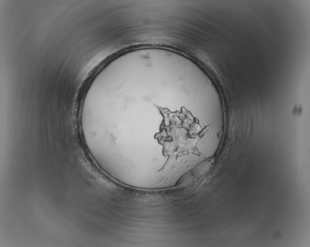 X0000110701071200907021952