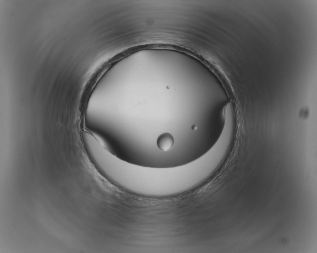 X0000110701072200907021952