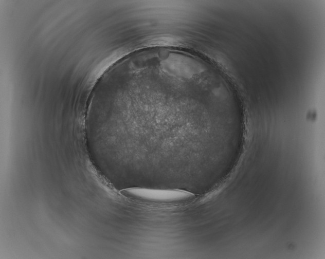 X0000110701073200907021952