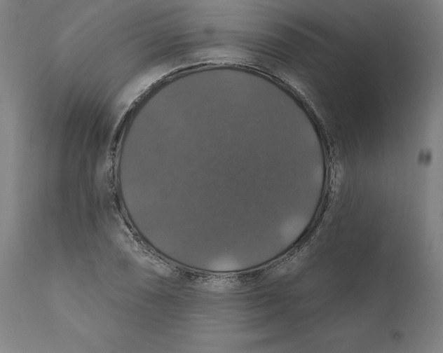 X0000110701074200907021952