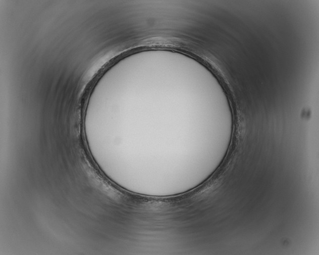 X0000110701075200907021952