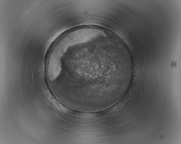 X0000110701076200907021952