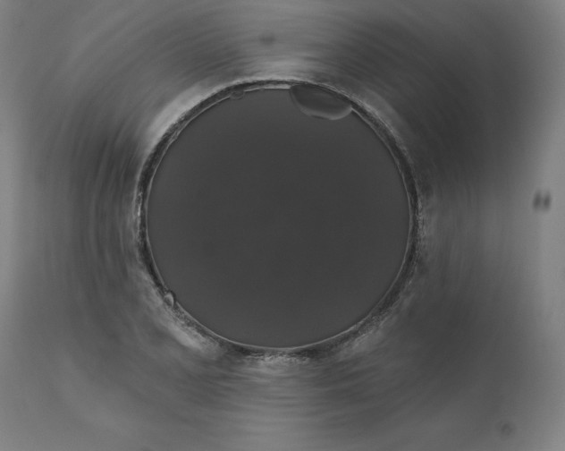 X0000110701077200907021952