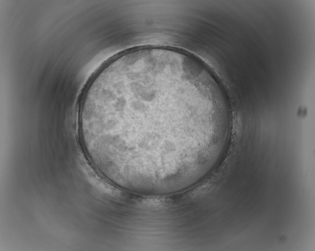 X0000110701078200907021952