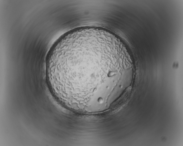 X0000110701079200907021952