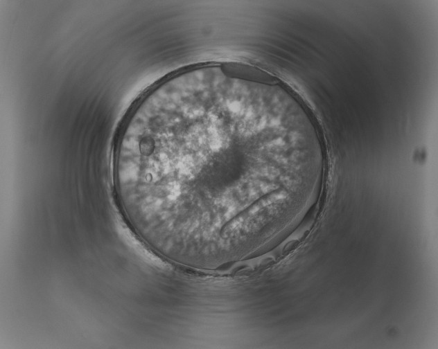 X0000110701080200907021952