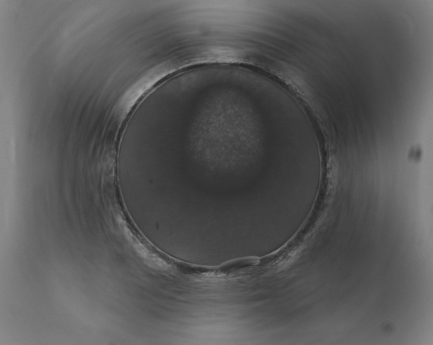 X0000110701081200907021952