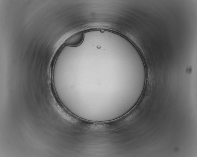 X0000110701082200907021952