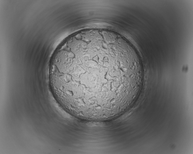 X0000110701083200907021952