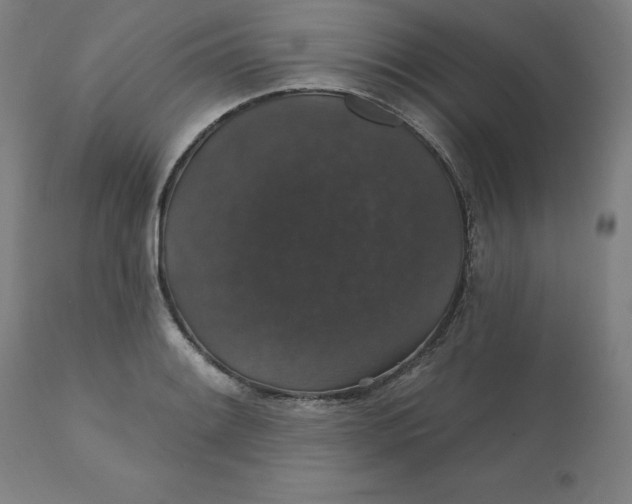 X0000110701084200907021952