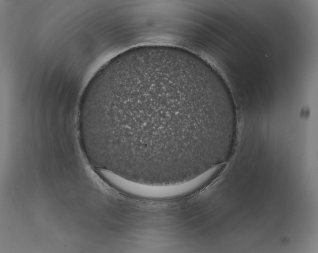 X0000110701085200907021952